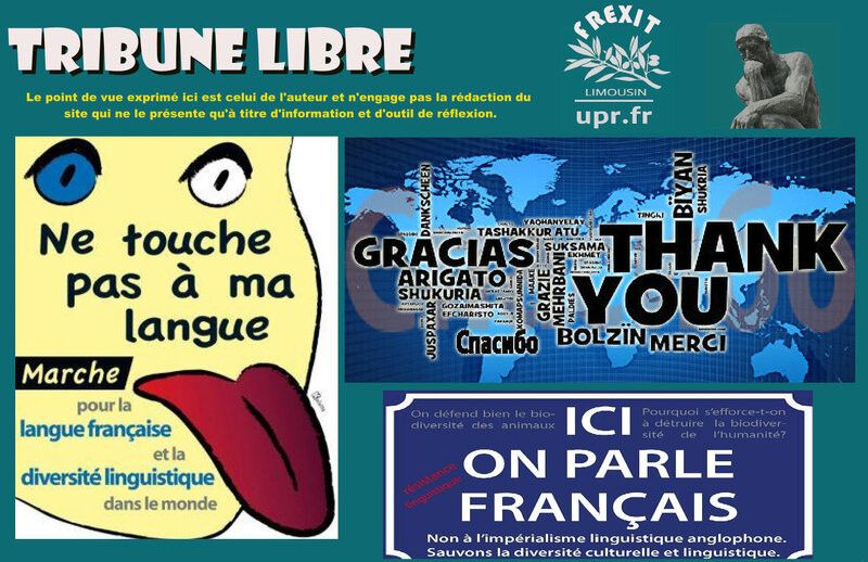 TL DIVERSITE LANGUES