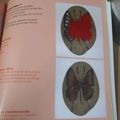 livre galets