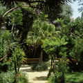 28-Alger-El Djazaïr