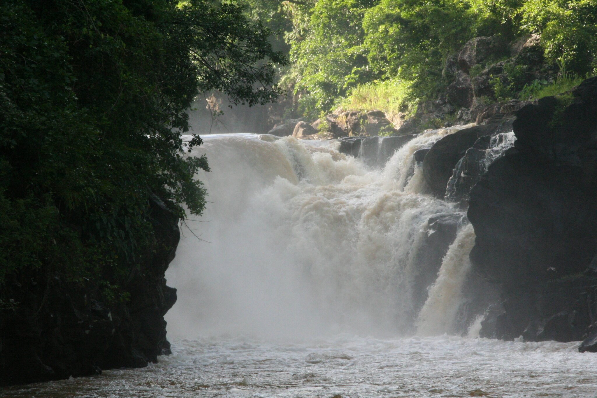 Du Barachois aux cascades de Grande Rivière SudEst Tant que n'Aura