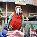 Amneville zoo 12