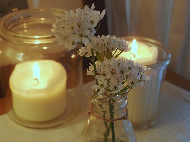 allium-b