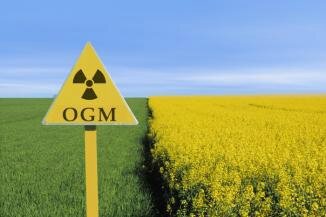 ogm-umposture-actionnes-par-monsanto