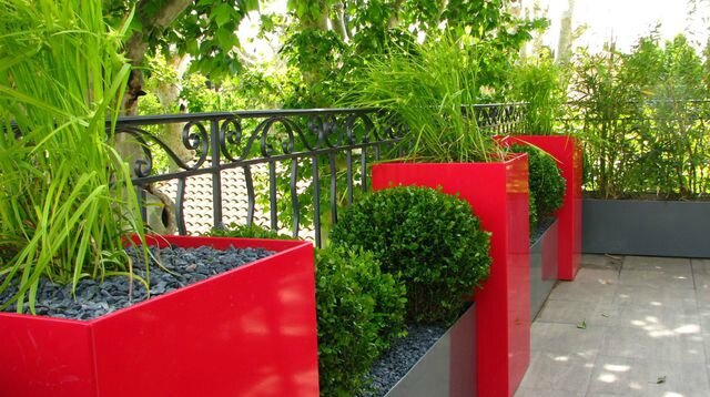 COTE MAISON jardin-balcon-terrasse-jardinieres-plantes_5621945