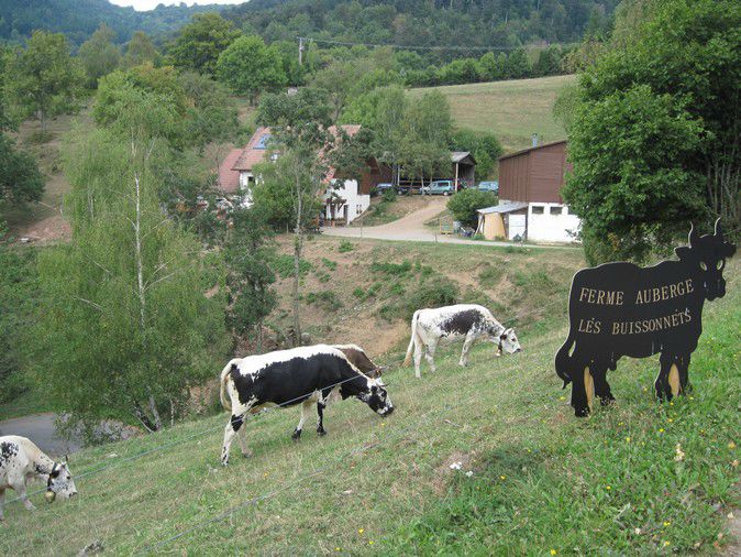 LE GÎTE D'ETAPE RENOVE DE LA FERME AUBERGE DES DE BOURBACH
