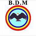 Decision n°001/bdm/p.n./n.n./02-2017 du 04/02/2017 portant exclusion de monsieur mantezolo diatezua papy du parti politique bdm 