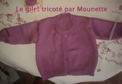 tricot gilet bebe 18 mois