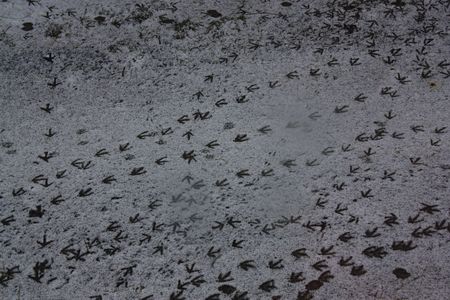 IMG_5220