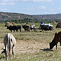 P1130503