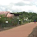 Excursion sur le Maroni