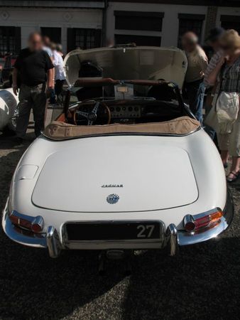 JaguarTypeEs1ar