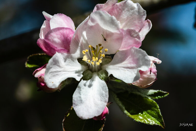 31032019-_MG_5169