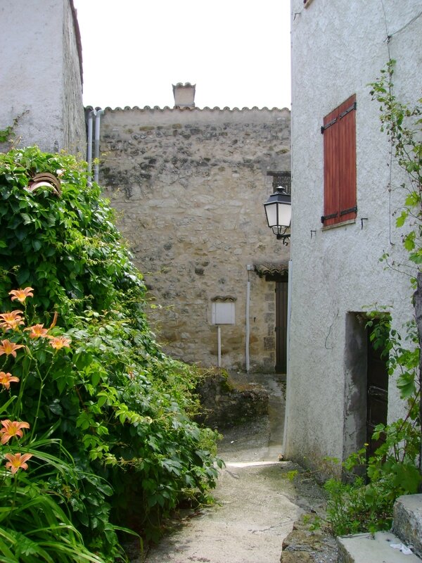 DSC06103