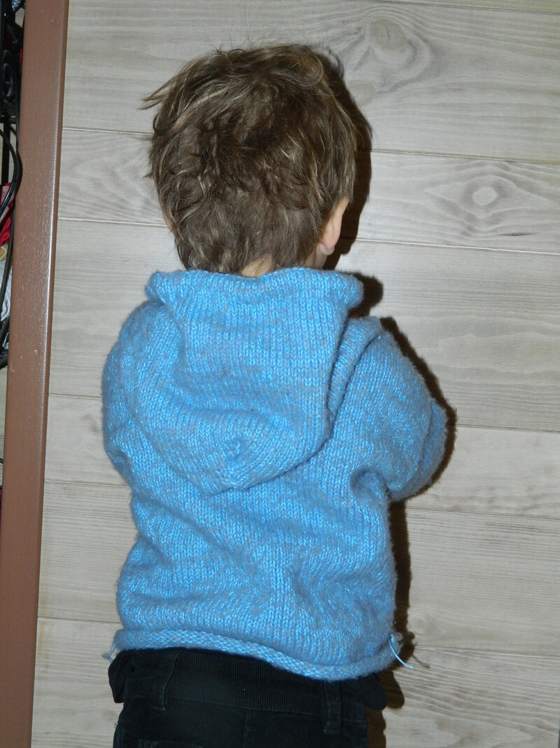 Basile de dos : sweat à capuche