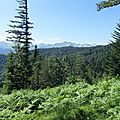 DSC04034
