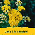 28 TANAISIE(5)cake à la Tanaisie