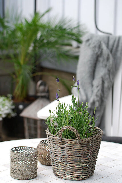jardin dans la decobelge (94)