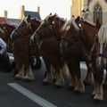 _IGP3538