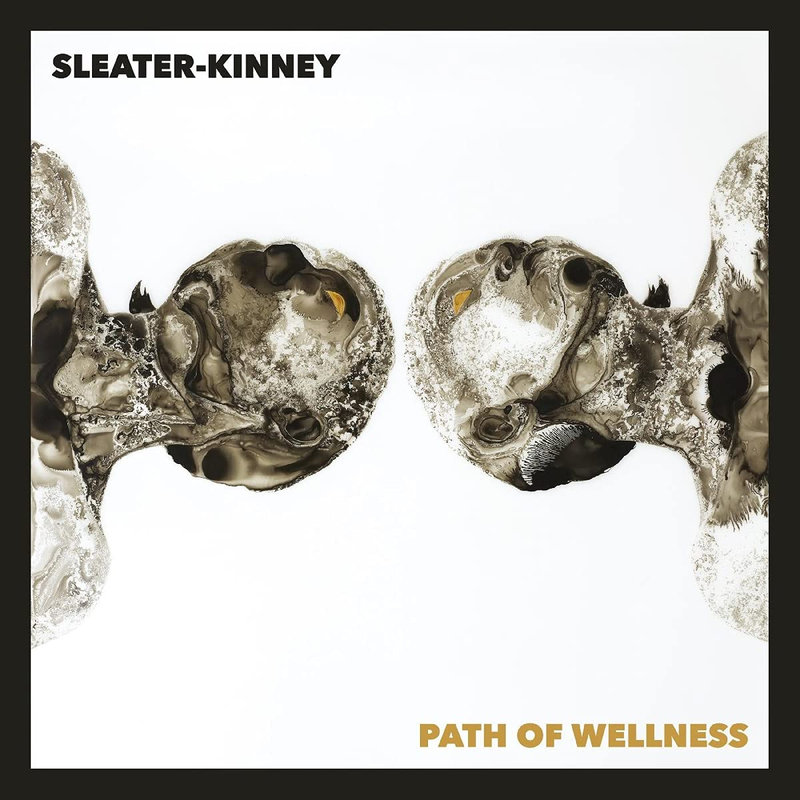 Sleater Kinney - Path Of Wellness