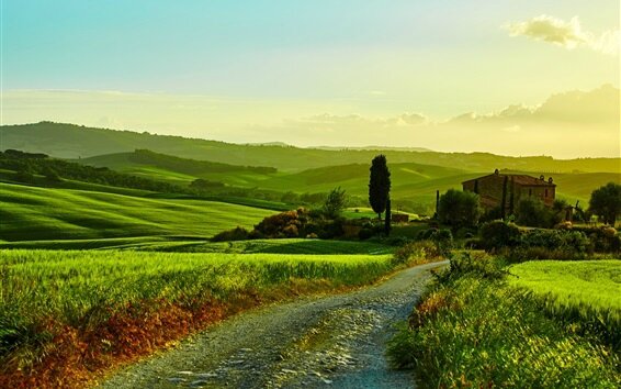 Italy-Tuscany-beautiful-landscape-fields-road-grass-trees-house_m