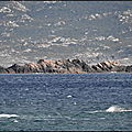 DSC01923__1_