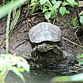 DSCN0320