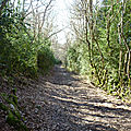 P1120236