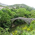 DSC01274