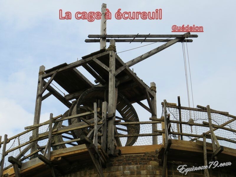 construction-medievale-la-cage-a-ecureuil-guedelon-tiffauges