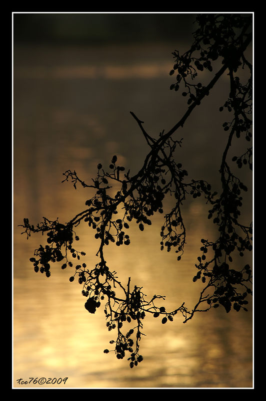 PICT5994_20