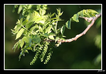 IMG_6357_sign_e