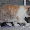 _DSC0881