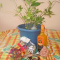 Concours anni-blog ! ...