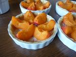 tartelettes aux abricots vergeoise et pralin (7)