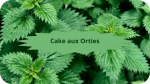 1 ortie(2)Cake aux orties-modified
