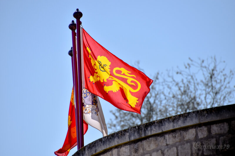 Blason de la famille d' Aquitaine Aliénor d' Aquitaine Guillaume d' Aquitaine Donjon Niort (2)