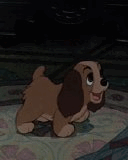 gif2
