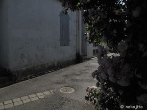 IMG_10545C