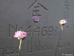 IMG_1907C