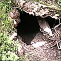 PDVD_010