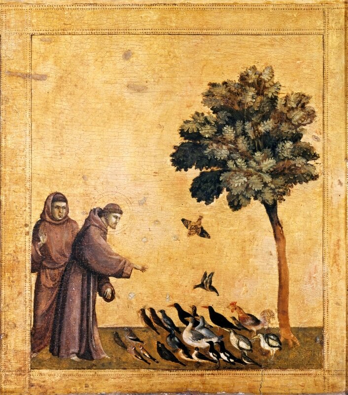 Giotto