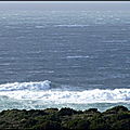 DSC02165_004