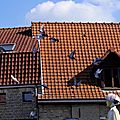 _IGP6347 (2)