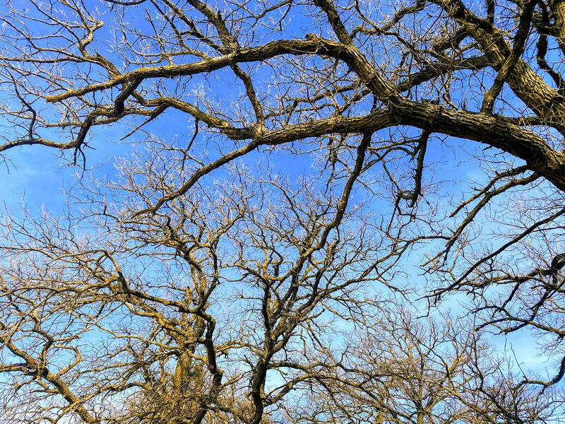 IMG_2780