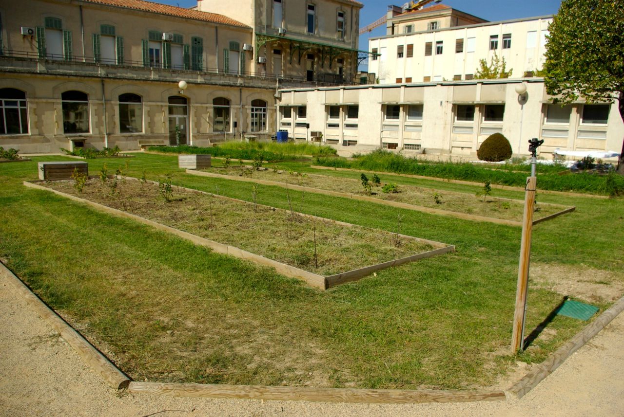 INAUGURATION DU JARDIN DE L'HOPITAL SAINTE MARGUERITE vendredi 21 Septembre 2012 JARDINS ET