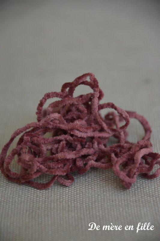 dried wine (dame of the needle)