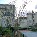 Le Château médiéval et son donjon - Loches (37)