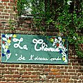 IMGP5467