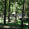 P1220448 (Copier)