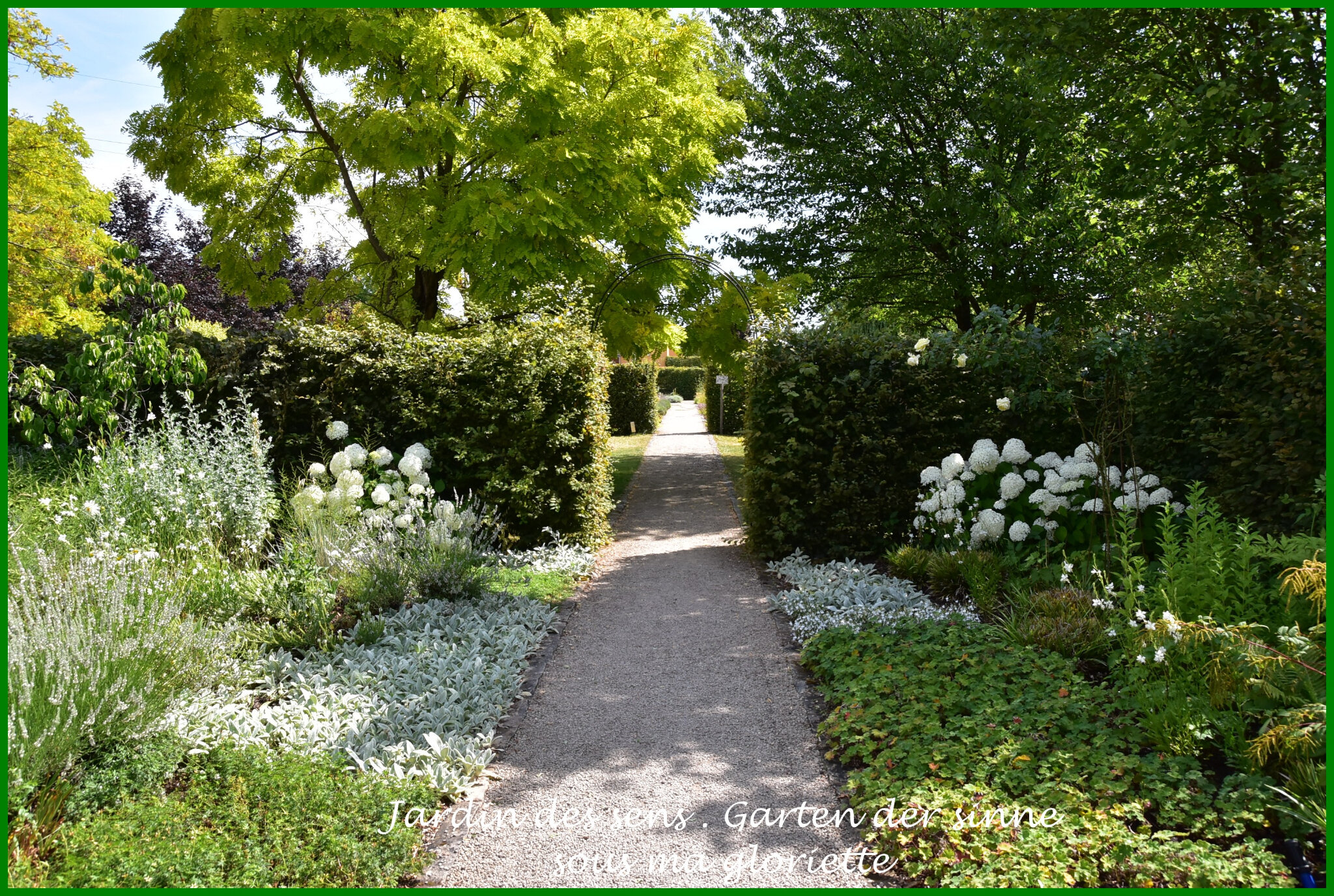 Jardin des sens à Merzig (Allemagne) Garten der Sinne sous ma gloriette